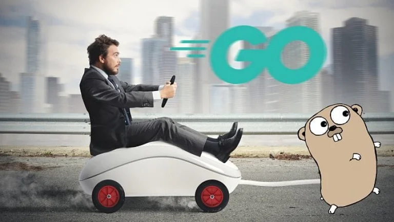Reflexe v programovacím jazyce Go