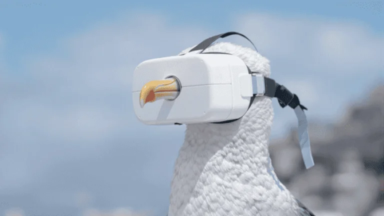 ČEZ nabídne 10Gb internet, Onsemi se dostala ze ztráty, Perplexity tvrdí, že chce koupit Google Chrome