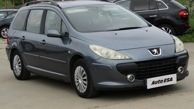 Peugeot 307 1.6i 