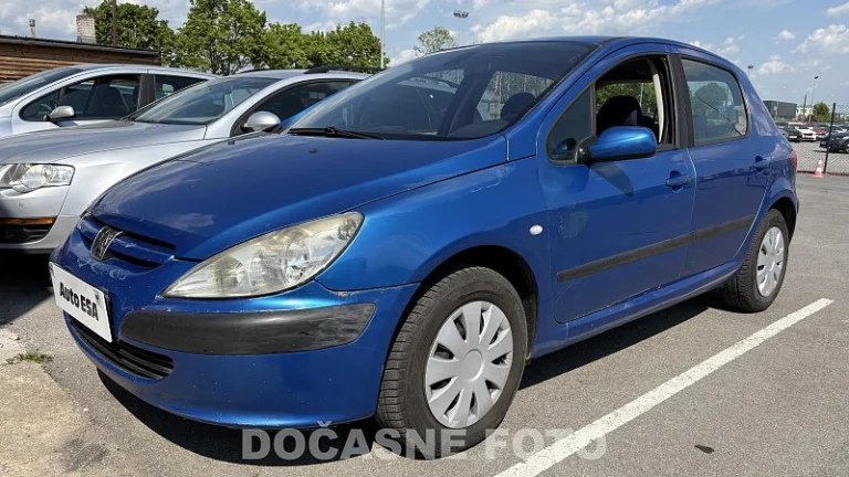 Peugeot 307 1.6i 
