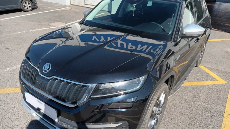 Škoda Kodiaq, 2020