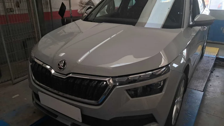 Škoda Kamiq, 2021