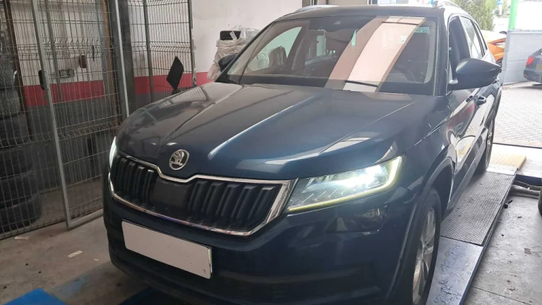 Škoda Kodiaq, 2018