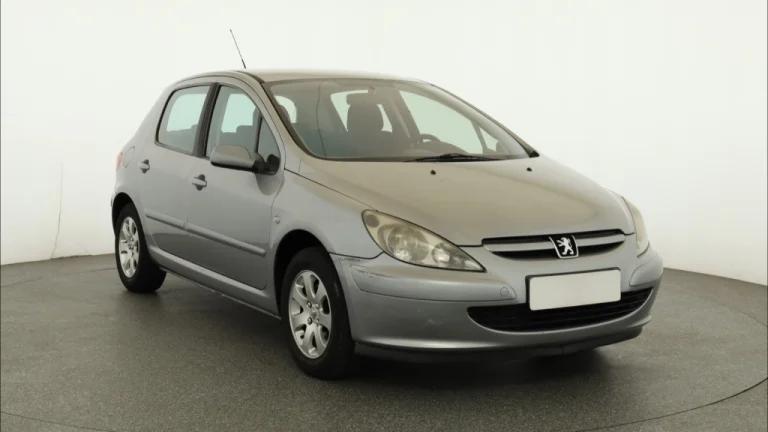 Peugeot 307, 2004