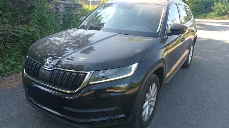 Škoda Kodiaq, 2019