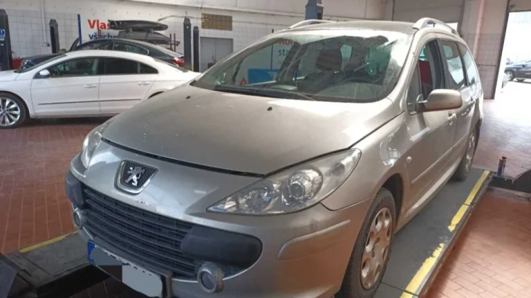 Peugeot 307, 2006