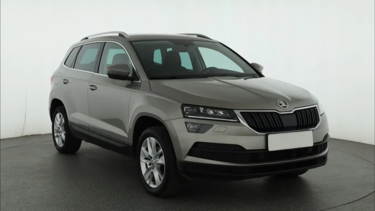 Škoda Karoq, 2019