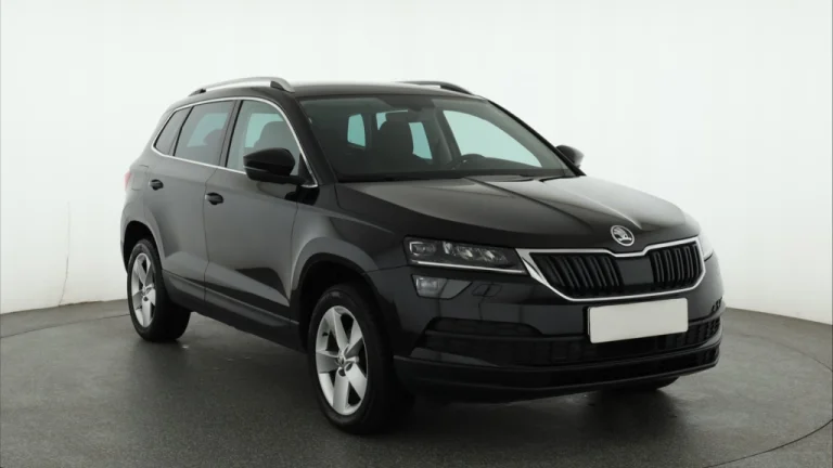 Škoda Karoq, 2019