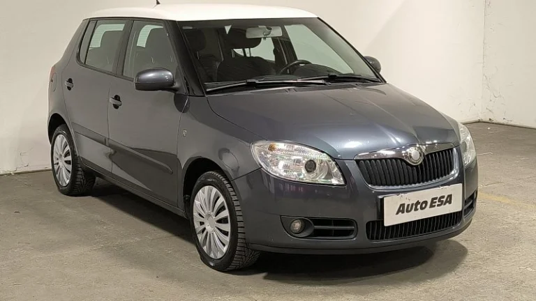 Škoda Fabia II 1.9TDi 