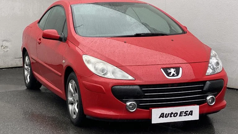 Peugeot 307 1.6 16V 