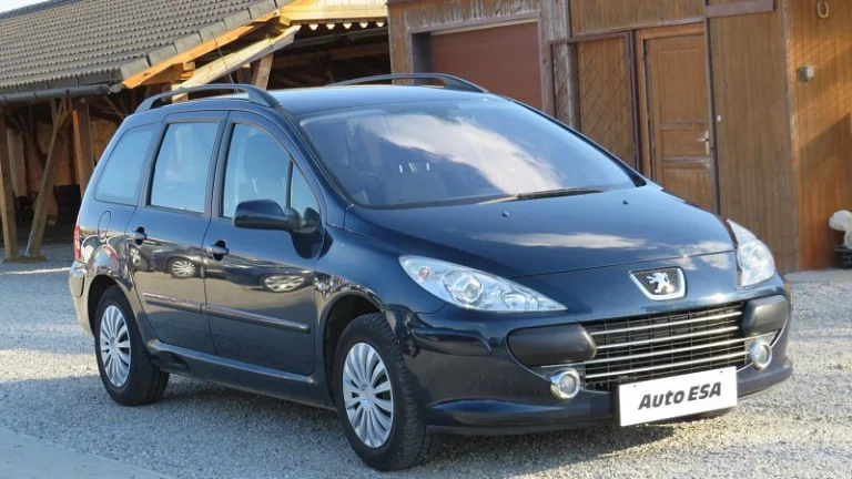Peugeot 307 1.6 