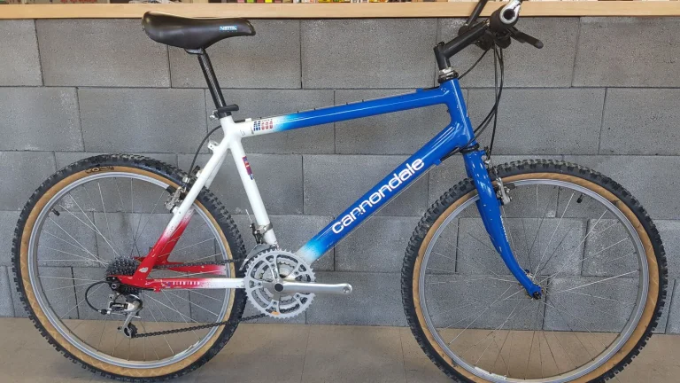 1992 Cannondale M600 Beast of the East