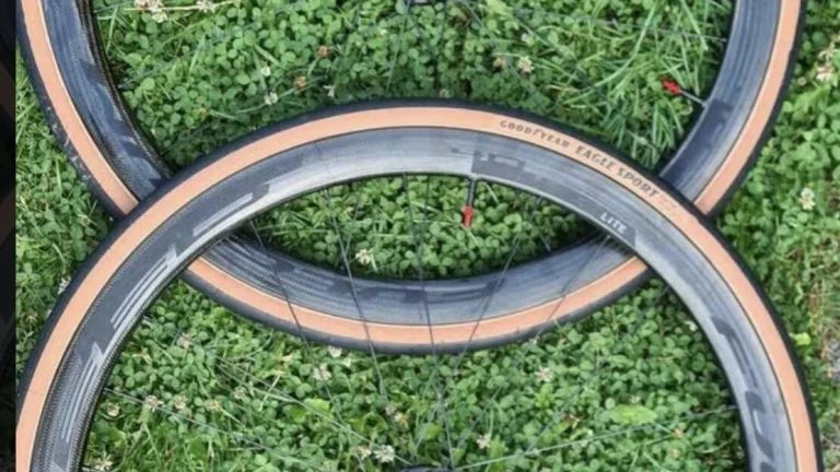 Fulcrum Speed Lite disc