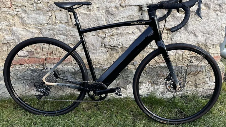 Fuji E-Jari