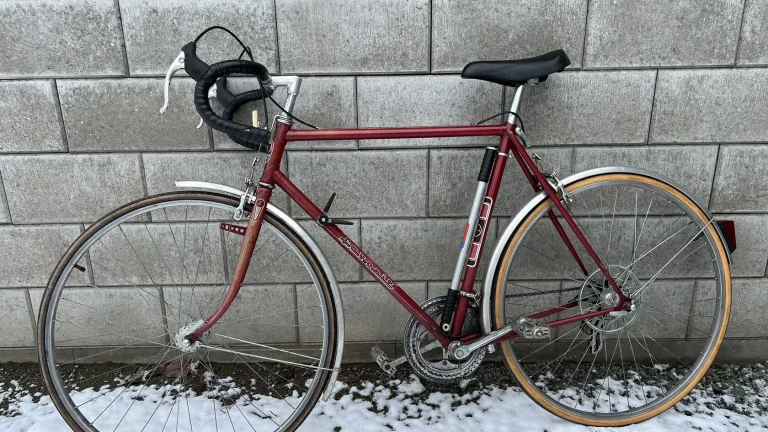 Prodám kolo Favorit F 318, rok vyroby 1989