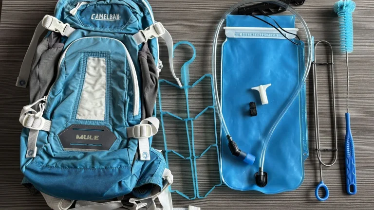Camelback Mule