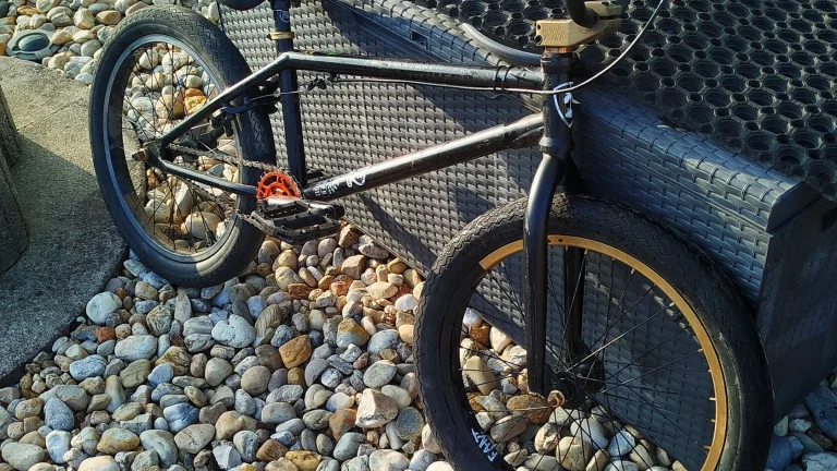 BMX SUBROSA 2022