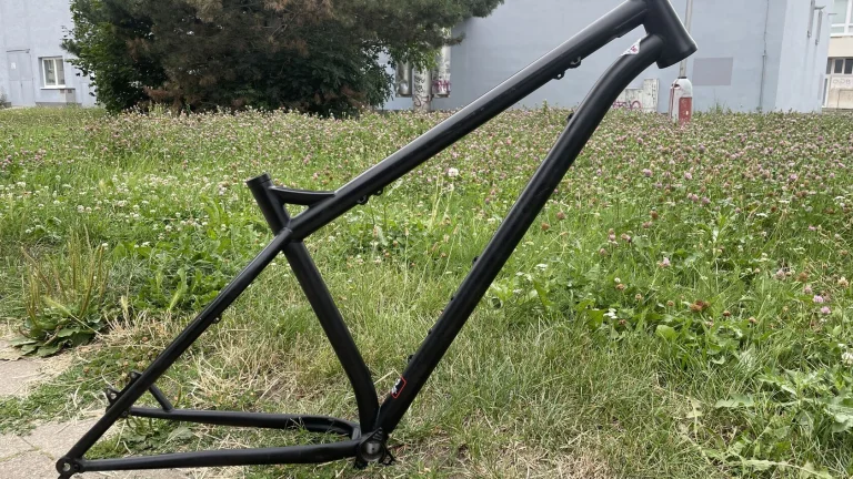 NS bikes Eccentric