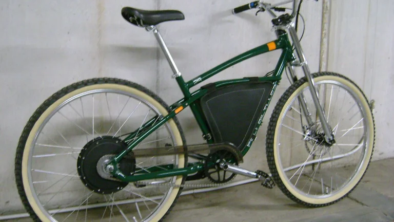Felt Rail 29er (1000w)