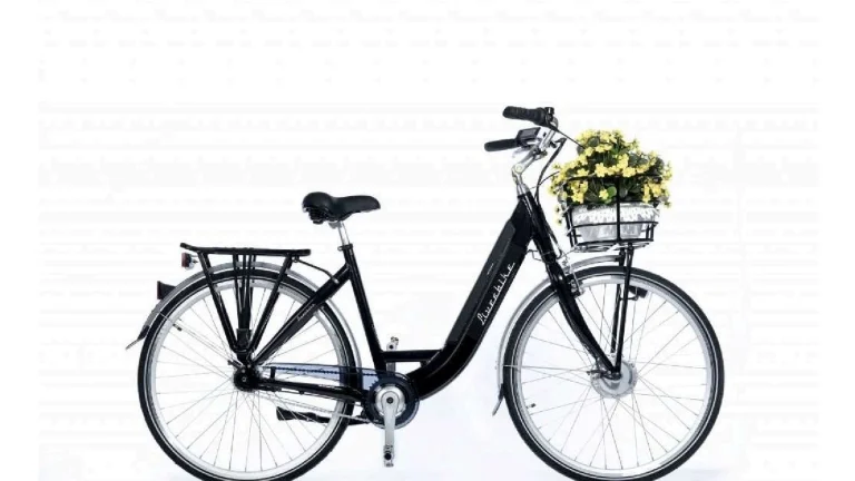 Prodám Elektrokolo Liveebike
