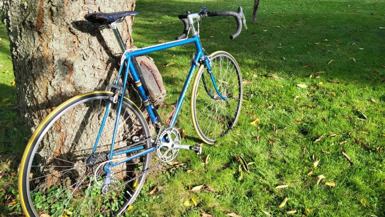 Kolo Favorit Sachs New Succes