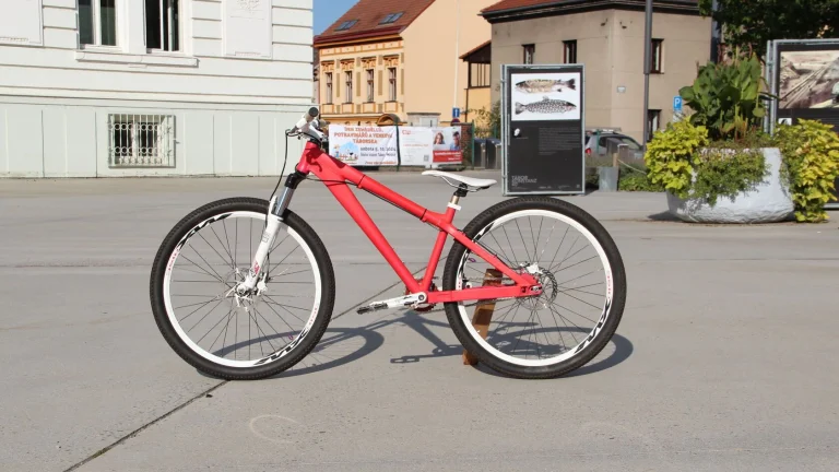 dirtové kolo PELLS ROOT, 26"
