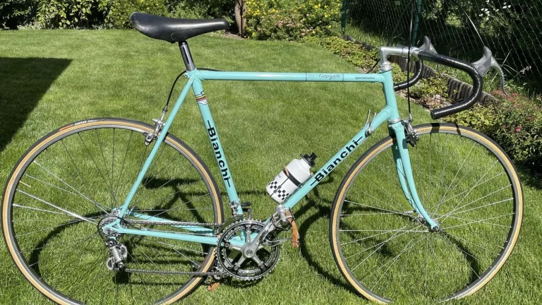 Bianchi -F Gimondi 1973