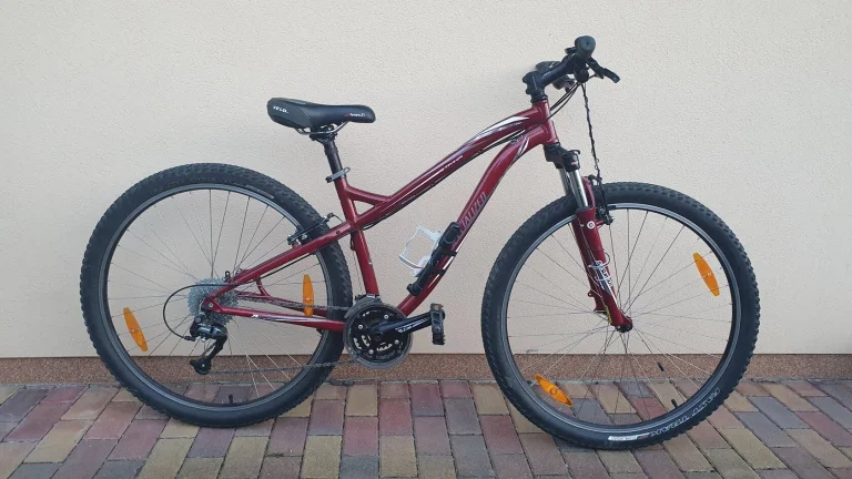 SPECIALIZED pro 150 - 170 cm