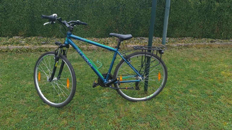 Alpina ECO T10