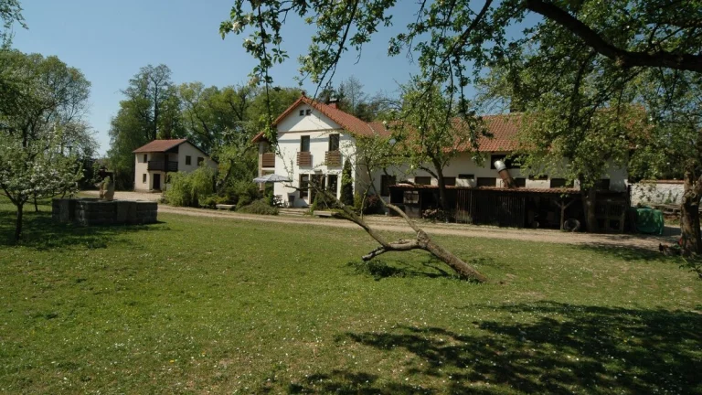 Ošetřovatel koní, jezdec, podkoní, dělník