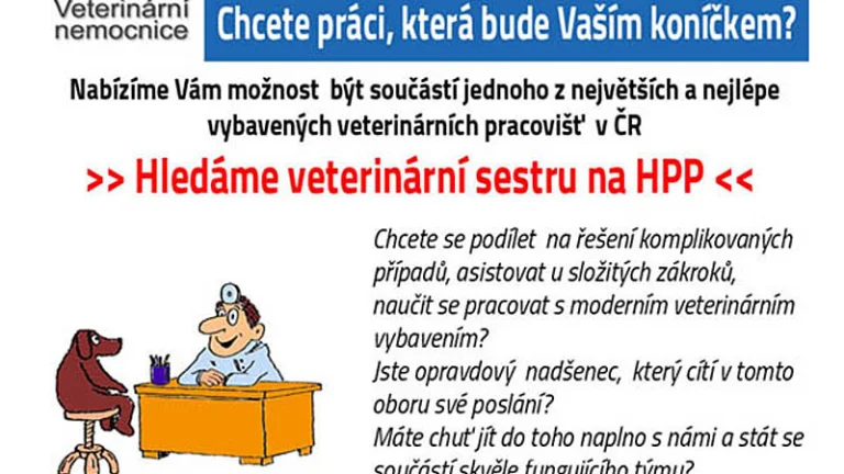 VETERINÁRNÍ NEMOCNICE PRAHA 10 PŘIJME SESTRU NA HPP