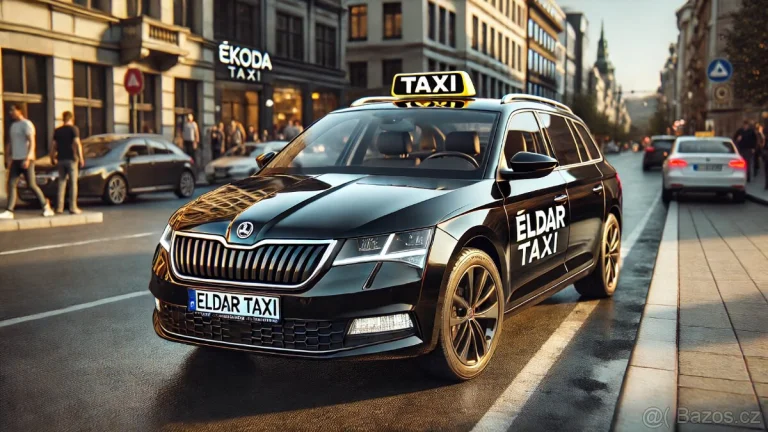 Řidič taxislužby
