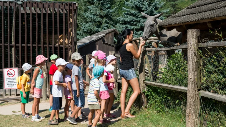 Animátor detský tábor Banská Bystrica
