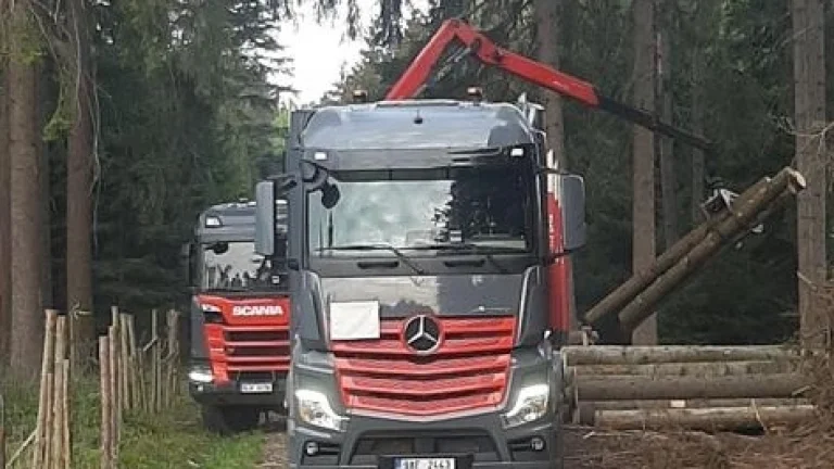 ŘIDIČ/KA C+E PŘEPRAVA DŘEVA