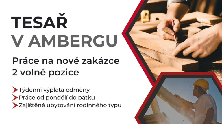 Práce v Německu s týdenní výplatou - možno IHNED - tesař