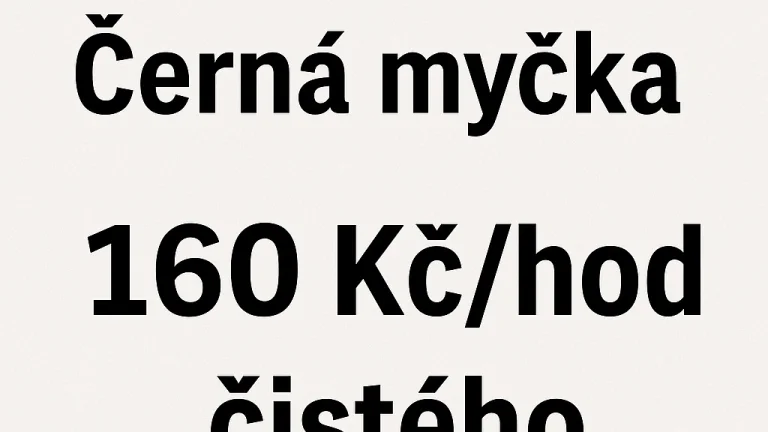 Práce v Praze 9 – černá myčka