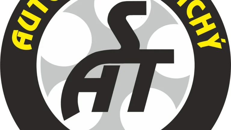 Řidič autobusu/mikrobus skupina D