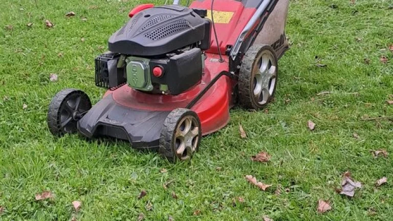 Sečení trávy a úklidové práce