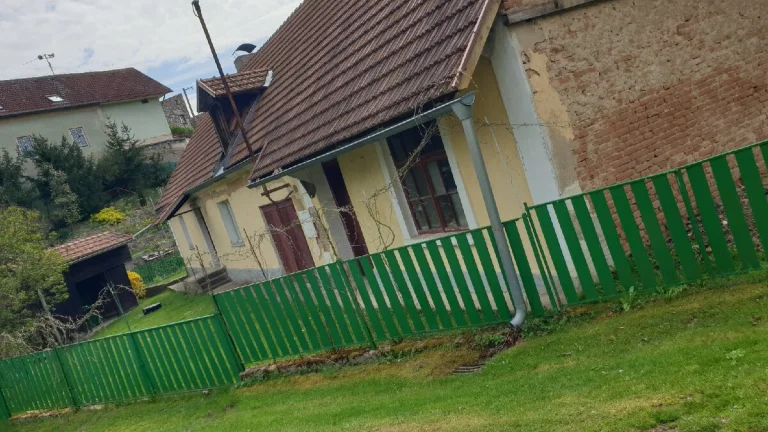 Hledám brigádníka, házení malty, štukování, malování