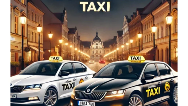 Vodič taxislužby