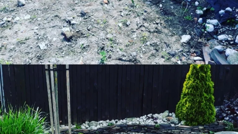 Údržby záhrad a realizácie