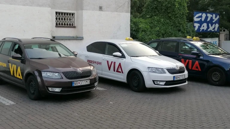 Vodič vozidla taxislužby