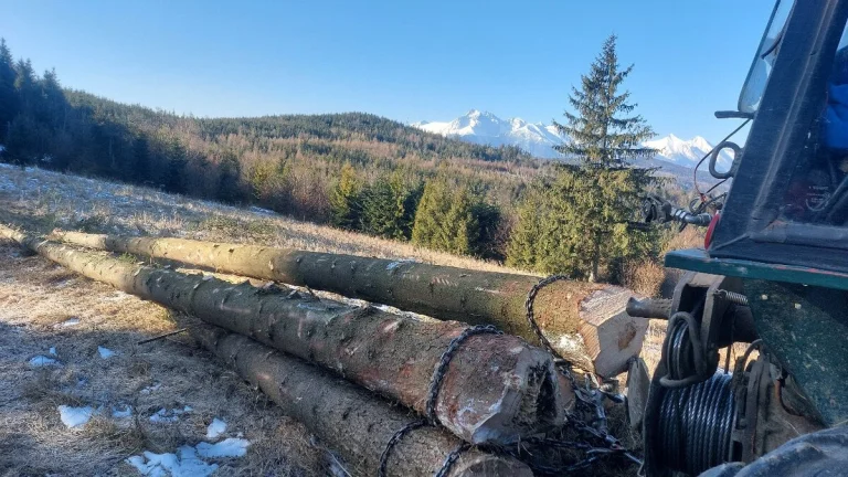 Ponukam svoje služby v lesnictve