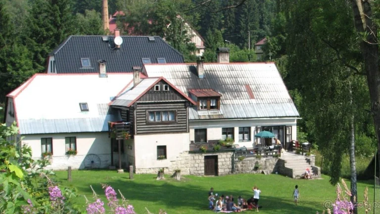 Pomocnice do kuchyně a úklid