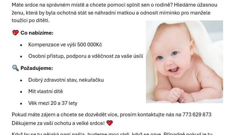 Hledáme NÁHRADNÍ MATKU, která by odnosila naše miminko