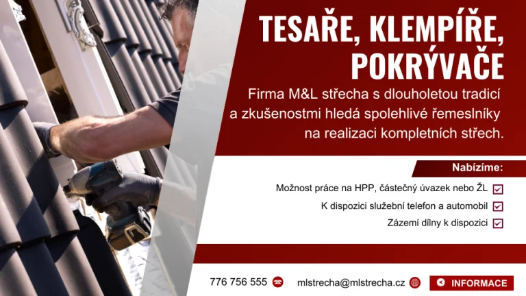 Přijmeme IHNED : Tesař, klempíř, pokrývač