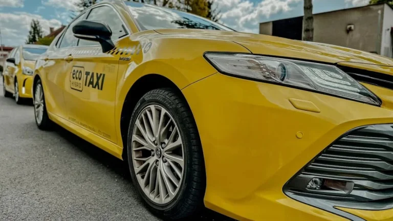 Vodič taxislužby s vlastným vozidlom