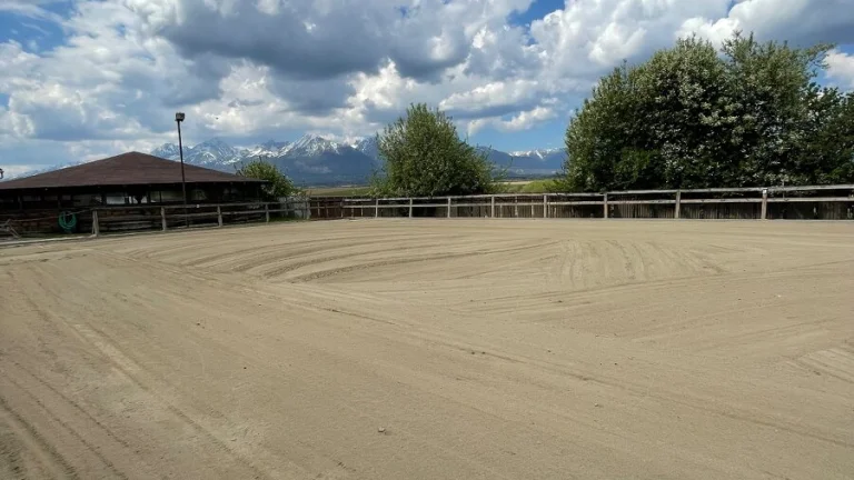 Stajník a ošetrovateľ koní