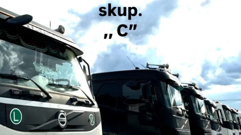 Vodič nákladného auta skup. C