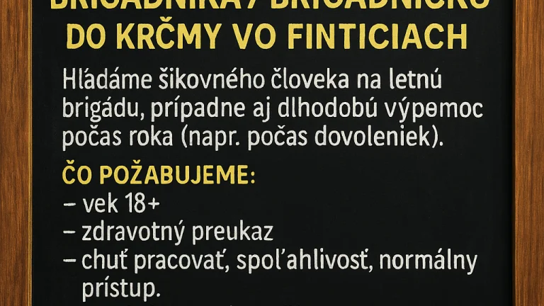 Brigada v pohostinstve vo finticiach